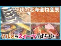 【秋の北海道物産展】北の大地や海から旬のグルメが集合　北海道ならではの自慢のグルメやスイーツなど28店舗が出店　鳥取県米子市