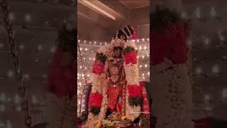 thirunagai Azhagiyar Sri Soundararaja Perumal