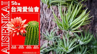 2023 第56屆 台灣愛仙會 Plant Festival in Kaohsiung City 第33 ~ 64展區