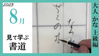 【書道手本】8月課題書いてみました！大人かな上級編【かな】【上級】