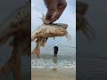 കടൽ കാണാൻ കൊതിക്കുന്ന ഏട്ട beach fishing shorts short shortvideo subscribe shortsvideo love