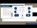 Oracle SQL Joins
