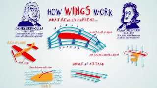 How Do Wings Really Work?