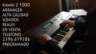 ARRANGER  KAWAI  Z 1000  PROFESIONAL VENDO  2396 619386