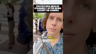 Are These Protesters Paid