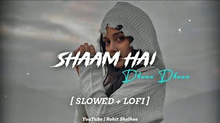 Shaam Hai Dhuan Dhuan | Diljale | Ajay Devgan | Slowed+LoFi | Full Song