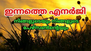 🌈 Current Energy നിങ്ങളുടെയും നിങ്ങളുടെ പേഴ്സൺന്റെയും 🌺 Timeless