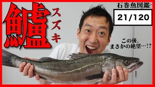 #50【鱸(スズキ)】失敗したけど…大成功⁉︎せっかくのスズキが…。