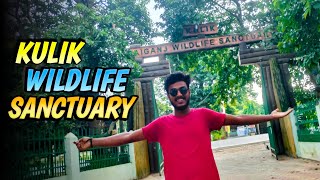 Kulik wildlife sanctuary || Kulik forest || Raiganj Kulik Wildlife Sanctuary || @Jitvlogs02