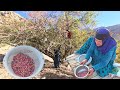 Mountain pistachios: Grandma's skillful take on beautiful nature