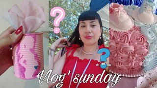 VLOG! Revelación de sexo de mí sobri 😮