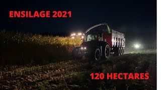 💥Ensilage 2021 - 2 ensileuses claas ✅ - SARL LEGAL EDT 🔴