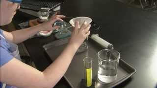 SCIENCE TECHNIQUES: LAB EXPERIMENT