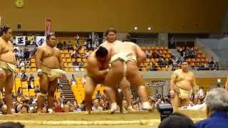 逸ノ城（Ichinojyo)、遠藤（Endo)、照ノ富士（Terunofuji）ほかによる申し合い（平成26年さいたま巡業 Grand Sumo Tour in Saitama 2014 fall）