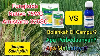 Perbedaan Dan Manfaat Fungisida Nativo 75 WG Dan Amistartop 325 SC.Apakah Boleh Di Campur?