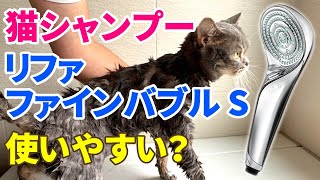 【猫シャンプー】リファファインバブルSで洗ってみたら毛並みがふわふわになった！