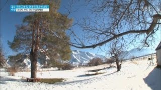 미국 유타주 본가 공개 @좋은 아침 131231