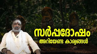 സര്‍പ്പദോഷം; അറിയേണ്ട കാര്യങ്ങള്‍ #jyothishavartha