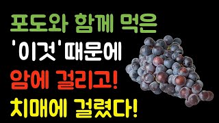 포도와 절대로 함께 먹지마세요! 암과 치매에 걸릴 수 있습니다!! - 포도와 최악의 궁합인 3가지 음식과 최고의 궁합 음식 3가지