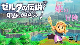 ◆ゼルダの伝説 知恵のかりもの◆ #1　【シリーズ「初」ゼルダ姫の冒険 】