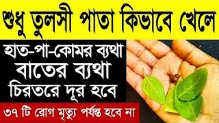 শুধু তুলসী পাতা কিভাবে খেলে হাত-পা-কোমরের ব্যথা সহ ৩৭ রোগ চিরতরে দূর হবে জানেন? তুলসি পাতার উপকারিতা