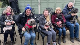 French Bulldog Meet Up Jan 2022