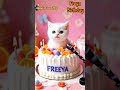 freya birthday happy birthday song with names adorable cute cat 😺 happybirthday cats