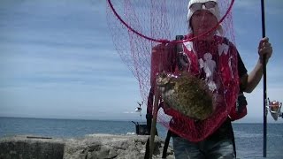 にゃんたの釣り生活　in　洲崎灯台下　釣った魚をその場で食べる　クロダイ狙い　フカセ釣り　メジナ　アイゴ　カワハギ　良型　房総半島　洲崎　地磯　塩焼き　現地食い　自給自足　2016　釣り