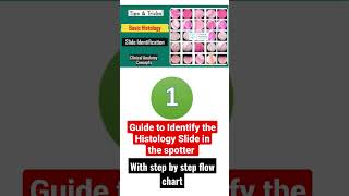 Histology Spotter Identification Tips \u0026 Tricks - Complete Flow Chart