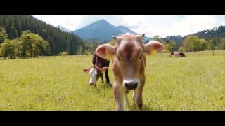 Wanderung bei Pfronten durchs Vilstal