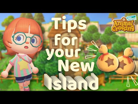 The BEST Tips and Tricks for Starting A Brand New Island in Animal Crossing // acnh