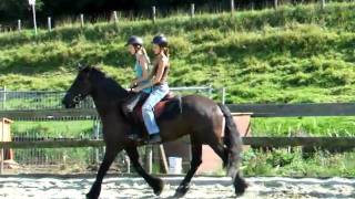 DSCF5645.AVI