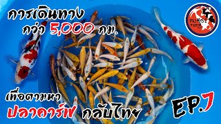 ไปโค่ย Vlogs | เปิดทริป 5,000 กิโลเมตร คัดปลาคาร์ปกลับไทย Ep.7