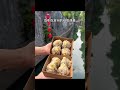 带上你的饭搭子一起下江南！！ 糯叽叽 艾特你的饭搭子请你吃