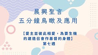 【晨興聖言五分鐘鳥瞰及應用】《國際長老及負責弟兄訓練》 第七篇 藉著在父的愛裏得成全而得以完全，像天父完全一樣