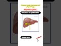 structure of gallbladder digestivesystem gallbladder anatomy ytshortsvideo viralshort