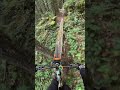 longest ladder bridge skinny on cypress mtb mountainbiking biking