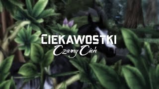 Ciekawostki o filmie Czarny Cień i podziękowania