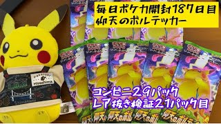 毎日ポケカ開封187日目　仰天のボルテッカー