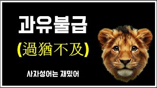 과유불급(過猶不及)의 의미와 중요성 | 사자성어는 재밌어