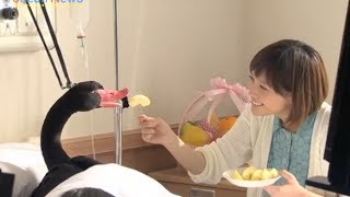 アフラック新CMメイキング映像　本田翼の撮影風景と有吉弘行のアフレコシーン公開