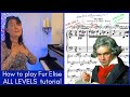 How To Play Beethoven's 'Fur Elise' - Piano Tutorial / Lesson for ALL Levels