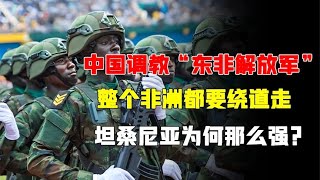 中国调教东非解放军，整个非洲都要绕道走，坦桑尼亚为何那么强？