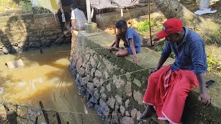 മണ്ണിര ഉണ്ടേൽ വരാലും കാരിയും ഉറപ്പാ 🐬😱naadanfishing|traditionalfishing|kuttanadvillagefishing|kerala