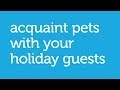 Fun Ways to Acquaint Pets With Holiday Guests - by Petco