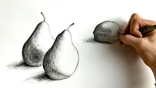 Pear & Lemon Still Life: An Exercise in Cross-Hatching (4K Video) | Alex Olson