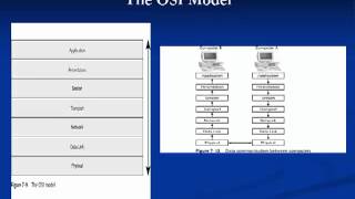 Module 7 Data Networking Fundamentals