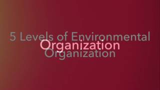 Five Levels of Environmental Organization