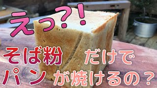 そば粉だけでパンが焼けるか試して見た