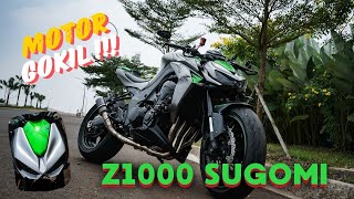 First Impression Kawasaki Z1000 Sugomi | Best 1000cc Naked bike ?